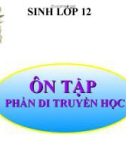 Bài giảng Sinh học 12 bài 23: Ôn tập phần di truyền học