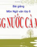 Bài giảng Ngữ văn 6 bài 19 bài Sông nước Cà Mau