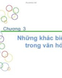 Bài giảng Thương mại quốc tế - Chương 3: Những khác biệt trong văn hóa