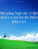 Bài giảng Ngữ văn 11 tuần 4: Bài ca ngắn đi trên bãi cát (Sa hành đoản ca)