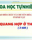 Bài giảng Sinh học 7 bài 18 sách Cánh diều: Quang hợp ở thực vật