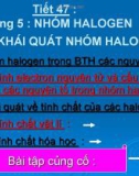 Chương 5 : NHÓM HALOGEN