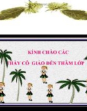 GIÁO ÁN MÔN TẬP LÀM VĂN LỚP 2 Tình Huống 