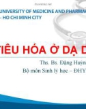 Bài giảng Tiêu hóa ở dạ dày - Ths. BS. Đặng Huỳnh Anh Thư