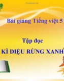 Bài giảng Tập đọc: Kì diệu rừng xanh - Tiếng việt 5 - GV.N.T.Hồng