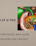 Bài giảng Bệnh lý u tuỵ - TS. Nguyễn Phước Bảo Quân