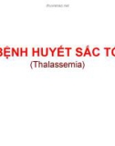 BỆNH HUYẾT SẮC TỐ (Thalassemia)