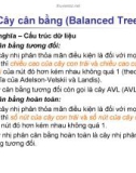 Cây cân bằng