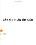 Bài giảng điện tử môn tin học: Cây nhị phân