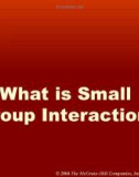 Lecture A systems approach to small group interaction (8/e): Chapter 1 - Stewart L. Tubbs