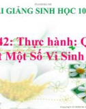 Slide bài Thực hành quan sát một số vi sinh vật - Sinh học 10 - GV.T.V.Phúc