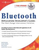 Bluetooth P1