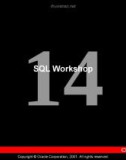 SQL Workshop