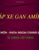 Bài giảng Áp xe Gan Amíp