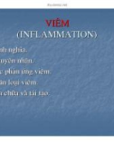 Bài giảng: Viêm (inflammation)