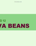 Bài giảng Nhập môn java - Chương 12: Java beans