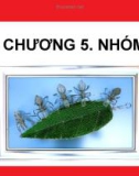 Bài giảng Chương 5: Nhóm