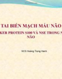 Bài giảng Tai biến mạch máu não: Các Marker Protein S100 và NSE trong nhồi máu não