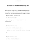 Web Client Programming with Perl-Chapter 4: The Socket Library- P2