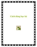 Cách dùng bạc hà