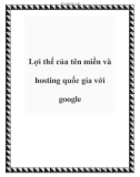 Lợi thế của tên miền và hosting quốc gia với google