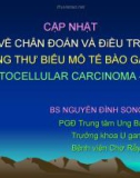 Bài giảng Cập nhật về chẩn đoán và điều trị ung thư biểu mô tế bào gan - Bs. Nguyễn Đình Song Huy