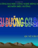 Bài giảng Điều dưỡng cơ bản II: Nhu cầu dinh dưỡng - chế độ ăn bệnh lý - GV. Vũ Văn Tiến