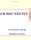 Bài giảng Mạch máu não tủy - TS. Nguyễn Văn Ba