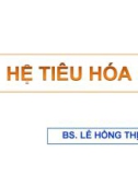 Bài giảng Hệ tiêu hóa - Lê Hồng Thịnh