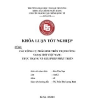 Khóa luận tốt nghiệp: Các công cụ phái sinh trên thị trường ngoại hối Việt Nam: Thực trạng và giải pháp phát triển