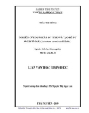 Luận văn Thạc sĩ sinh học: Nghiên cứu nuôi cấy in vitro và tạo rễ tơ ở cây Ô đầu (Aconitum carmichaelii Debx.)