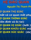 Bài giảng Hệ giác quan - Nguyễn Thị Thanh Phượng