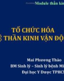 Bài giảng Tổ chức hóa hệ thần kinh vận động - Mai Phương Thảo