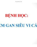 Bài giảng bệnh học: Viêm gan siêu vi cấp