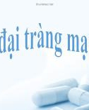 Bài giảng Viêm đại tràng mạn tính