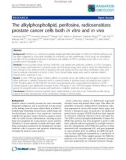 Báo cáo khoa học: The alkylphospholipid, perifosine, radiosensitizes prostate cancer cells both in vitro and in vivo