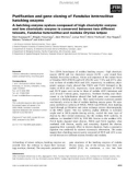 Báo cáo khoa học: Purification and gene cloning ofFundulus heteroclitus hatching enzyme A hatching enzyme system composed of high choriolytic enzyme and low choriolytic enzyme is conserved between two different teleosts,Fundulus heteroclitusand medaka Oryzias latipes