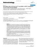 Báo cáo y học: Synergistic effect of human CycT1 and CRM1 on HIV-1 propagation in rat T cells and macrophages