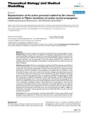 Báo cáo y học: Repolarization of the action potential enabled by Na+ channel deactivation in PSpice simulation of cardiac muscle propagation