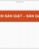 Bài giảng Tiền sản giật – Sản giật