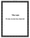 Tiểu luận: Tổ chức du lịch theo lãnh thổ