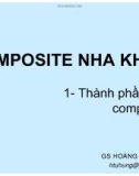 COMPOSITE NHA KHOA