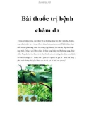 Bài thuốc trị bệnh chàm da