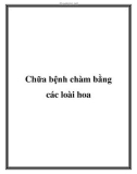 Chữa bệnh chàm bằng các loài hoa