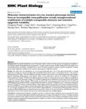 báo cáo khoa học: Molecular characterization of a rice mutator-phenotype derived from an incompatible cross-pollination reveals transgenerational mobilization of multiple transposable elements and extensive epigenetic instability