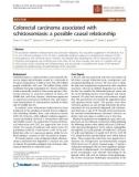 Báo cáo khoa học: Colorectal carcinoma associated with schistosomiasis: a possible causal relationship