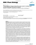 báo cáo khoa học: Transcriptomic changes induced by acute ozone in resistant and sensitive Medicago truncatula accessions