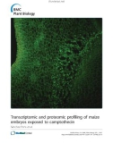 báo cáo khoa học: Transcriptomic and proteomic profiling of maize embryos exposed to camptothecin