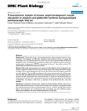 báo cáo khoa học: Transcriptomic analysis of tomato carpel development reveals alterations in ethylene and gibberellin synthesis during pat3/pat4 parthenocarpic fruit set