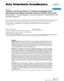 Báo cáo khoa học: Isolation and characterization of Treponema phagedenis-like spirochetes from digital dermatitis lesions in Swedish dairy cattle